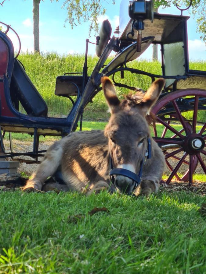 B&B Beemsterlust Westbeemster Luaran gambar